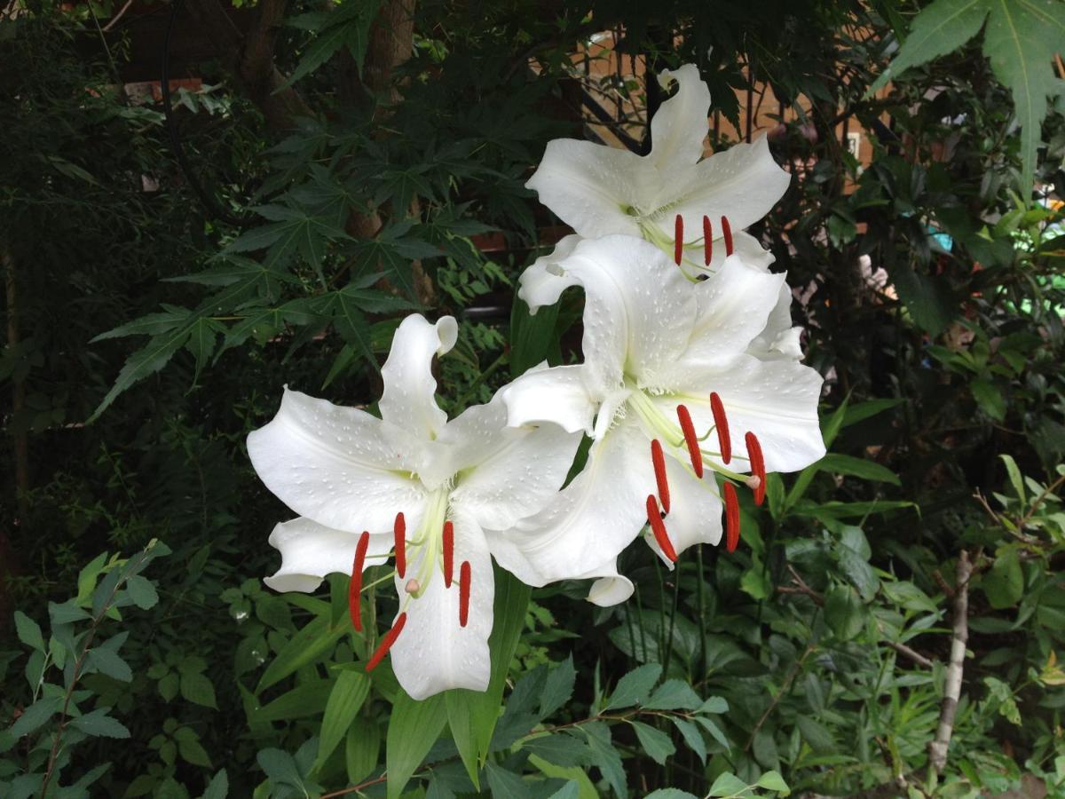 Otsu Nature Garden Akiruno Ngoại thất bức ảnh