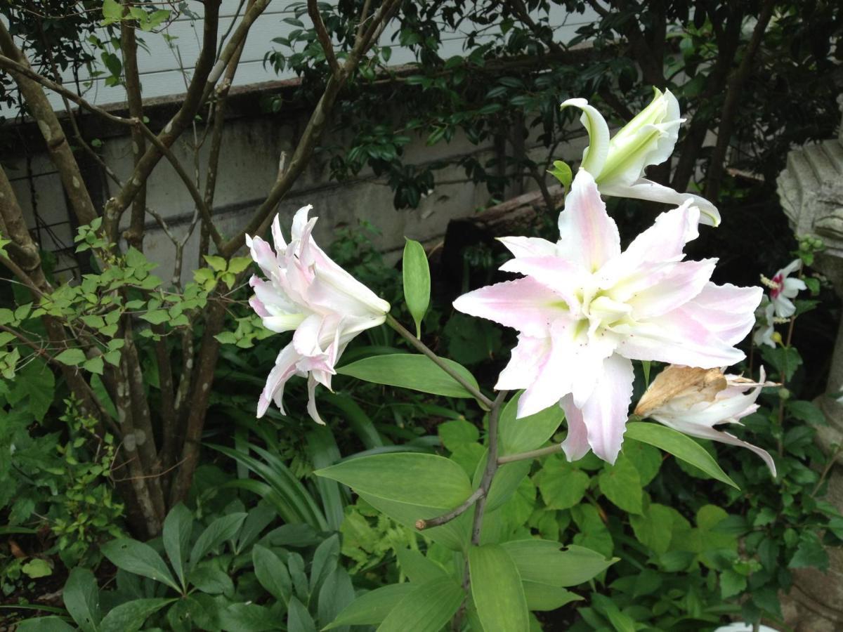 Otsu Nature Garden Akiruno Ngoại thất bức ảnh