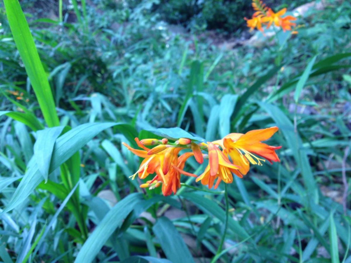 Otsu Nature Garden Akiruno Ngoại thất bức ảnh