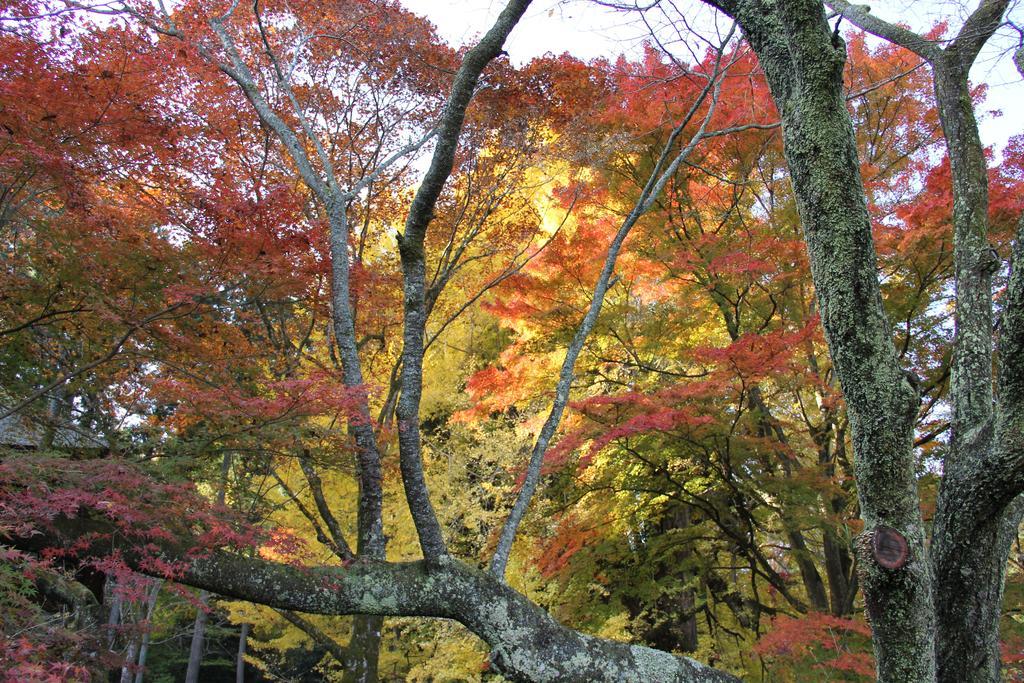 Otsu Nature Garden Akiruno Ngoại thất bức ảnh