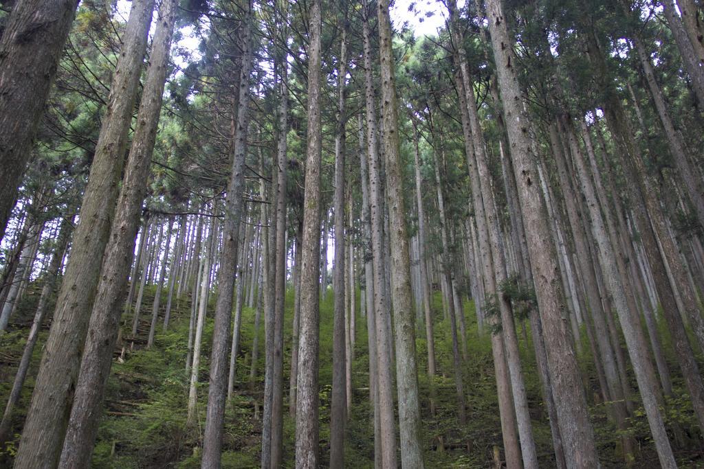 Otsu Nature Garden Akiruno Ngoại thất bức ảnh