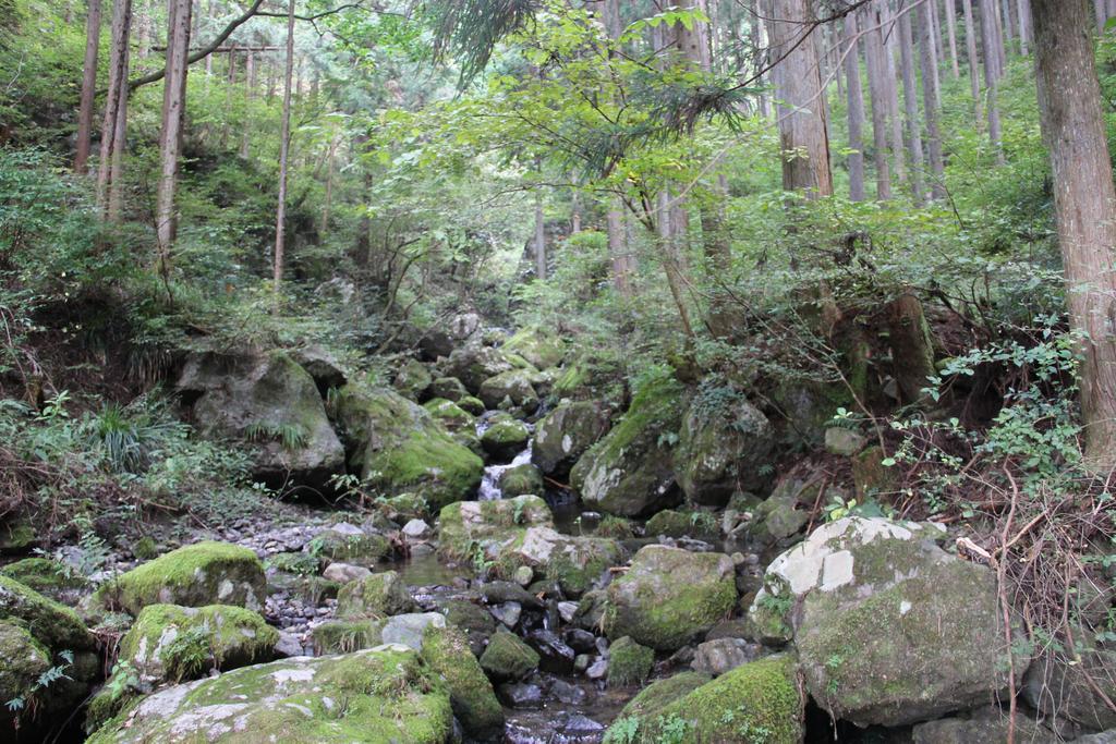 Otsu Nature Garden Akiruno Ngoại thất bức ảnh
